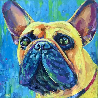 French Bulldog “George”