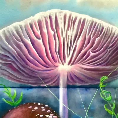 Mushroom Museum Mural Painting