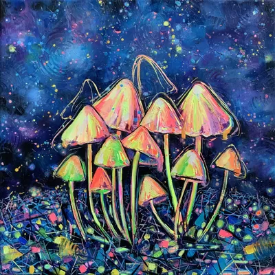 Magic Mushrooms  | Магічні грибочки