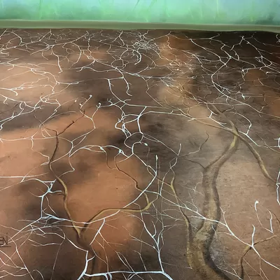 Mushroom Museum Floor Painting