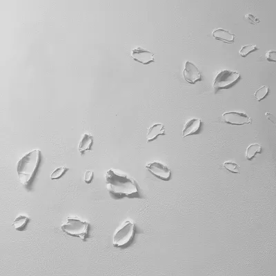 White Strokes : Light